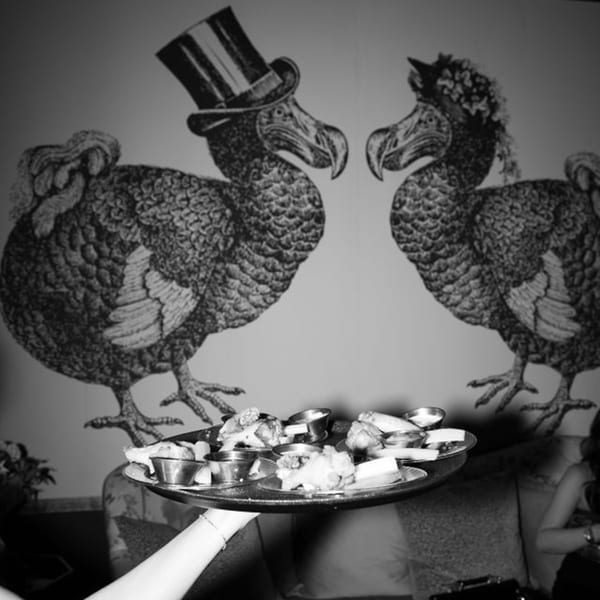 A server holds a tray of appetizers in front of a wall mural of two dodo birds.