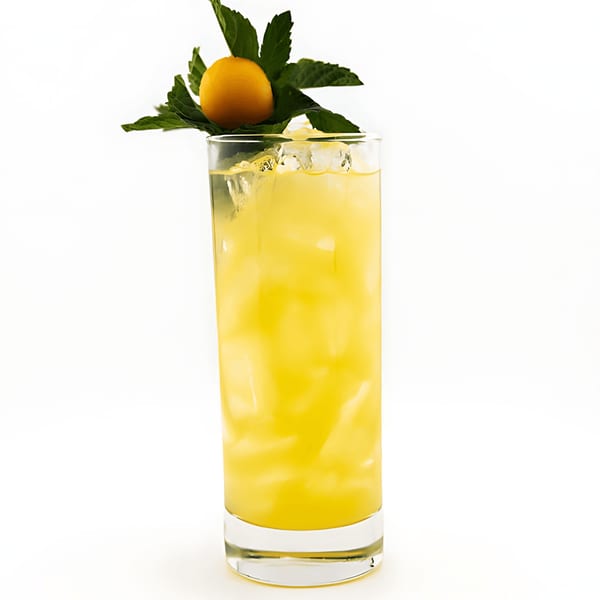 Tall glass of Dodo Bird Kitchen and Cocktails' yellow iced drink, garnished with mint and a kumquat.