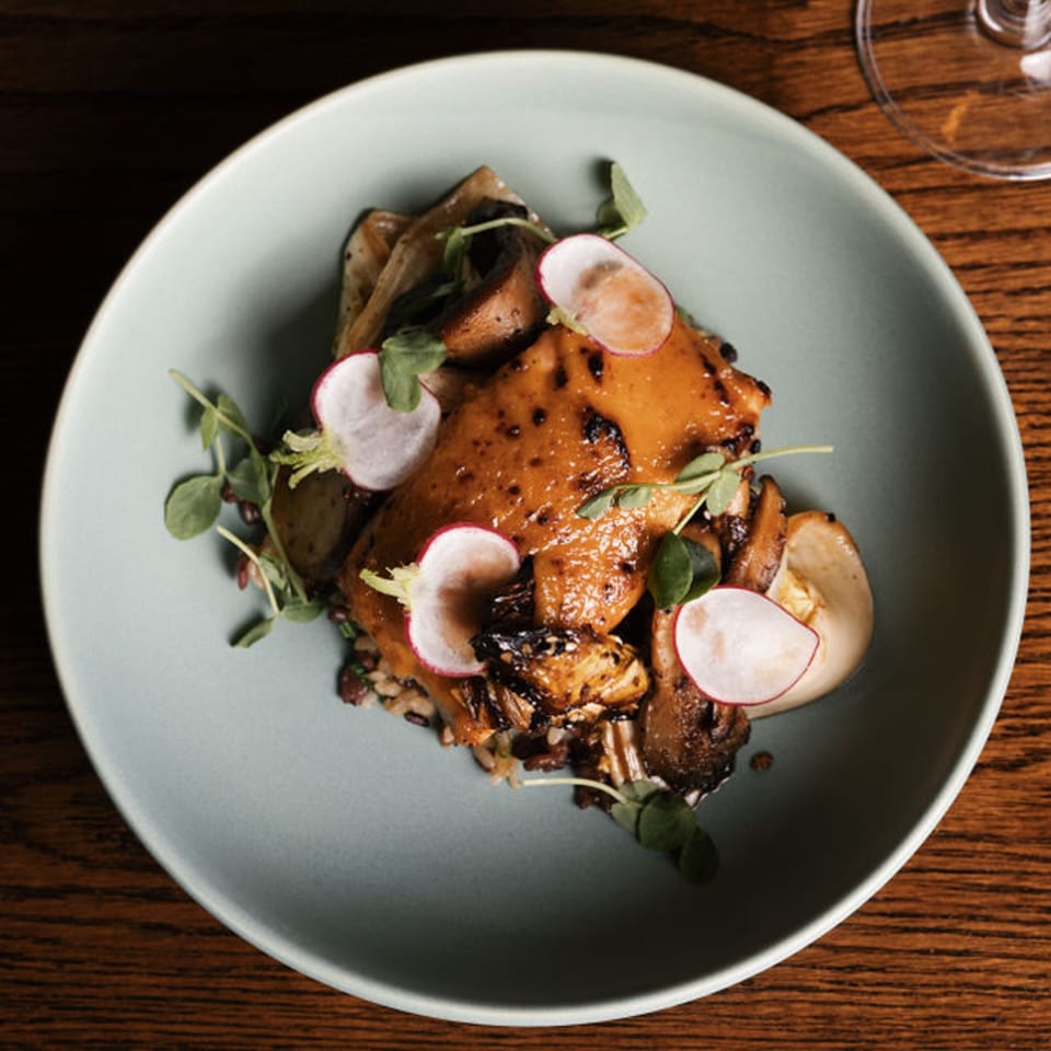 Glazed chicken with mushrooms, radishes, and microgreens on a light blue plate at Dodo Bird Kitchen.